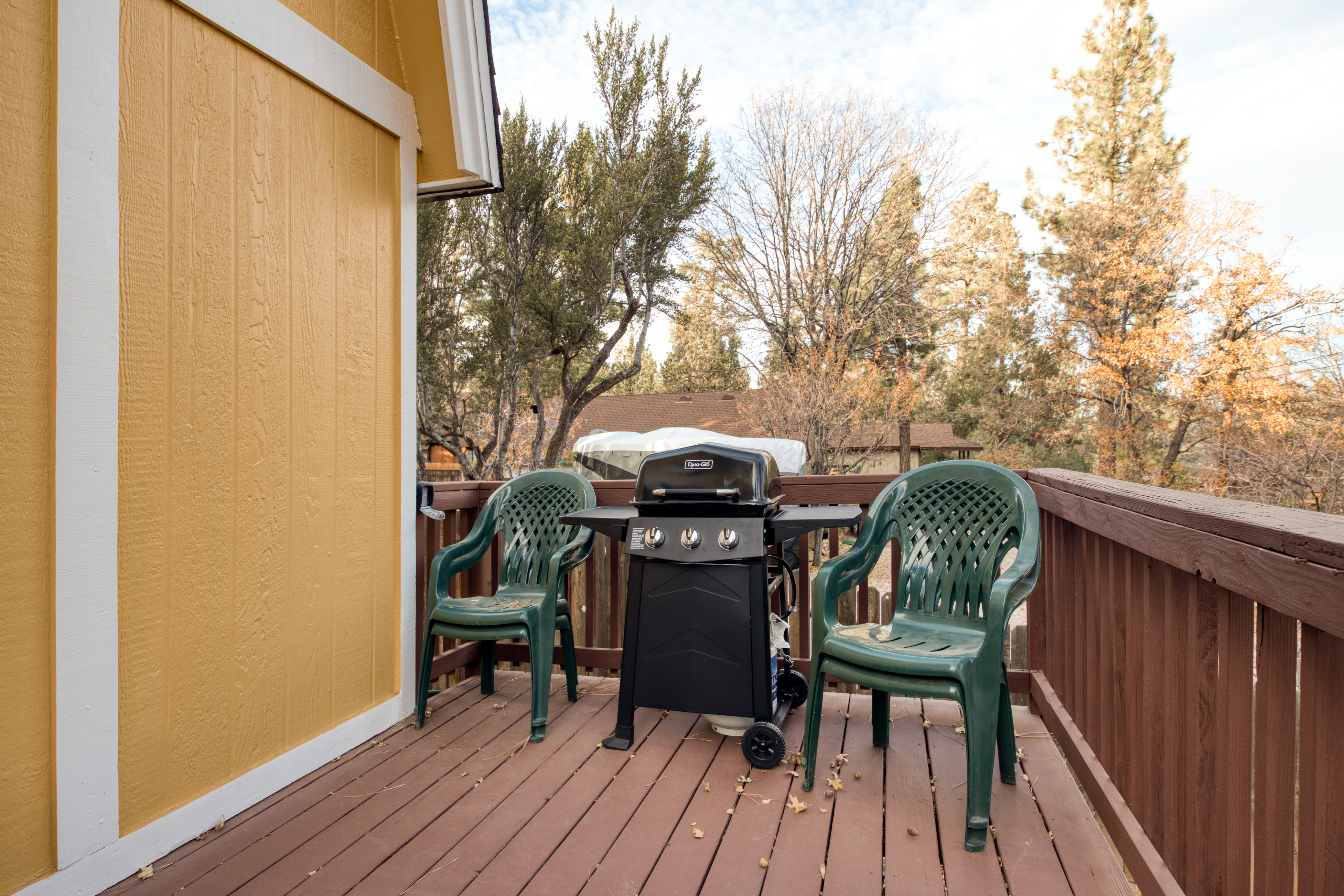 Big Bear Home 976180