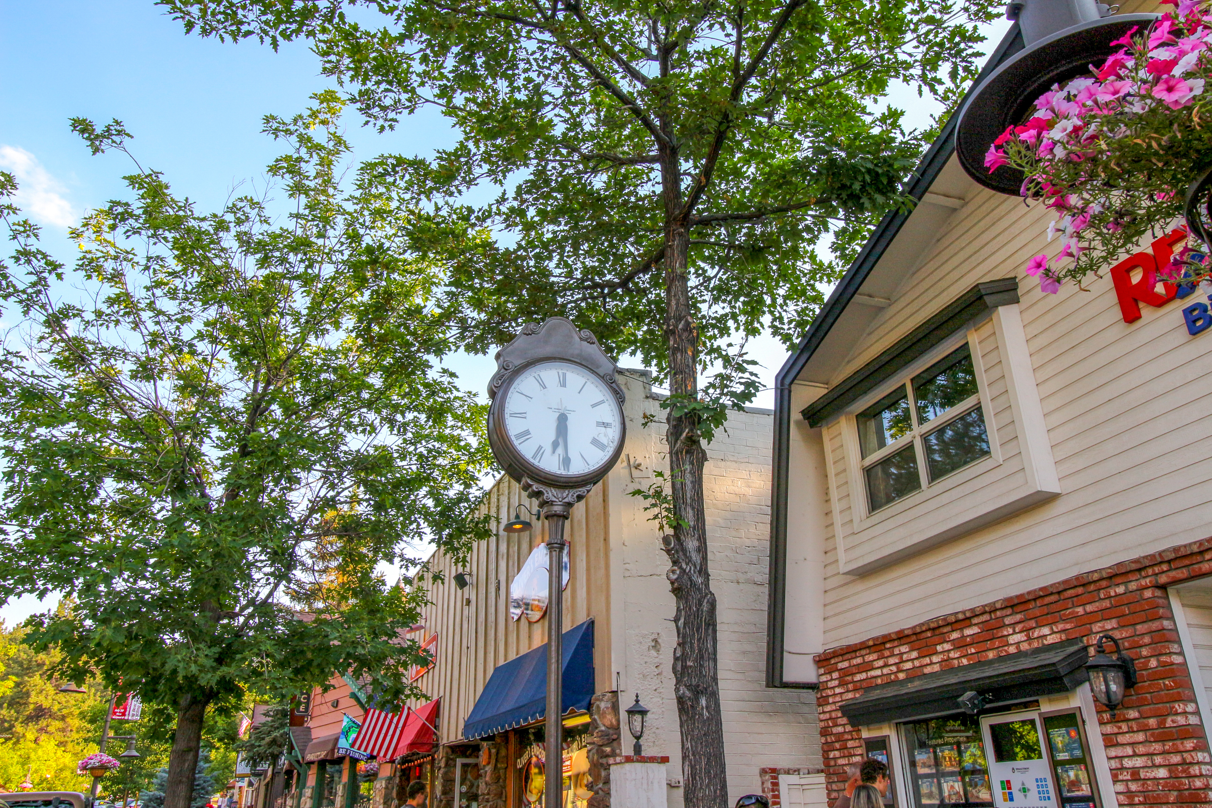 Big Bear Home 976181
