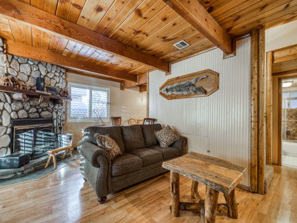 Big Bear Home 976182
