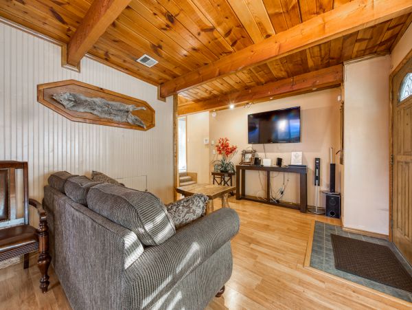 Big Bear Home 976182