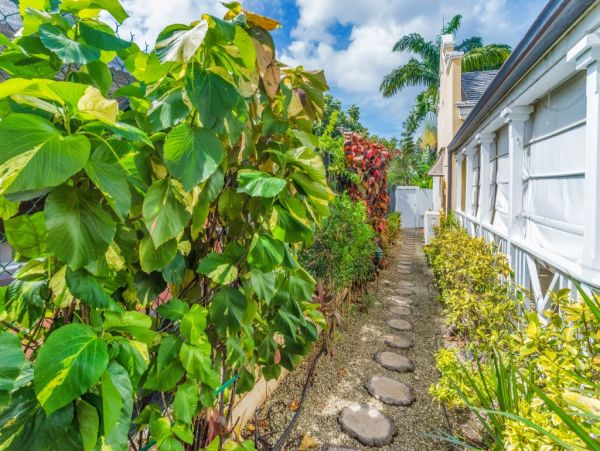 Barbados Home 976223