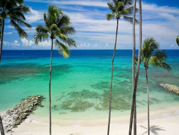 Barbados Condo 976231
