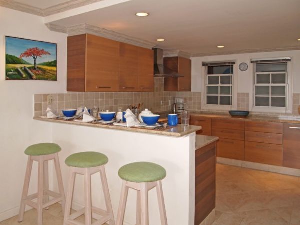 Barbados Condo 976266