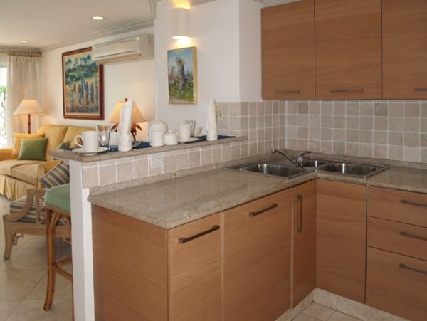Barbados Condo 976271