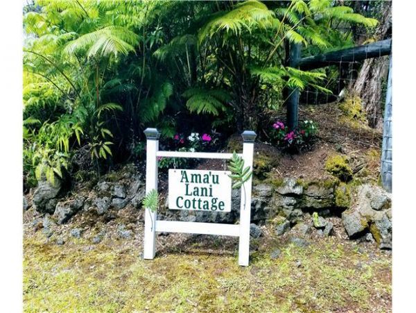 Puna District Condo 976281