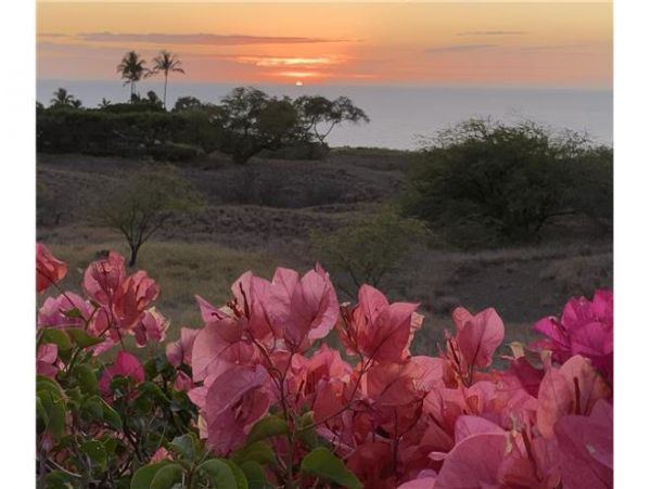 Hilo District Home 976286
