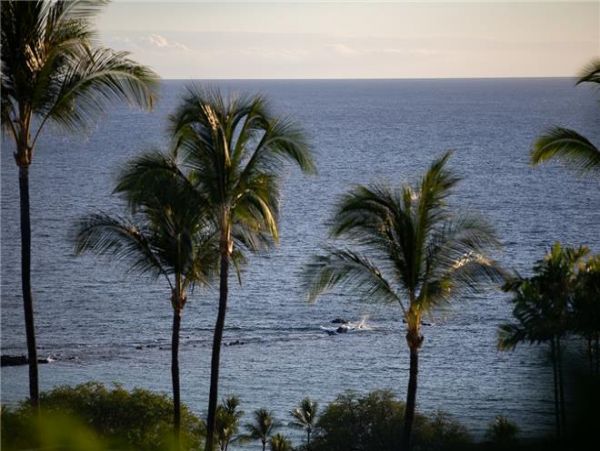 Hilo District Home 976291