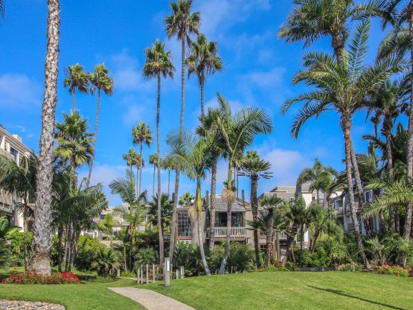 San Diego Beach Communities North Condo 976350