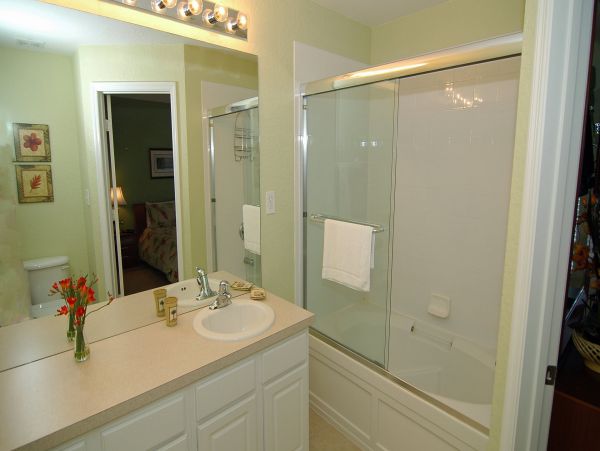 Orlando Home 976387
