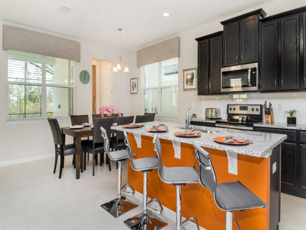 Orlando Home 976390