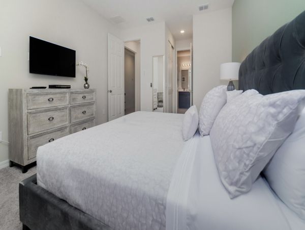 Orlando Home 976393