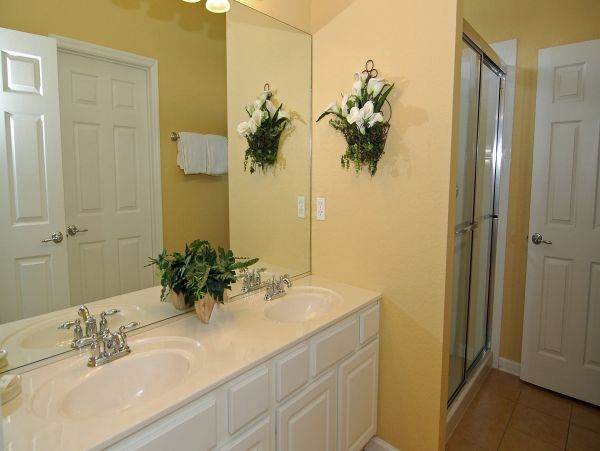 Orlando Home 976401