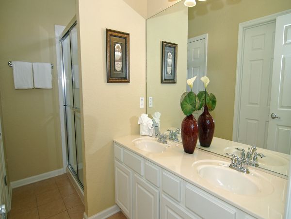 Orlando Home 976401