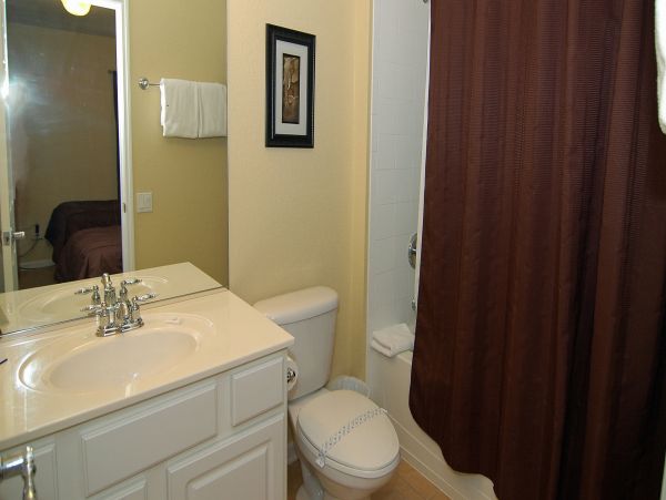 Orlando Home 976401