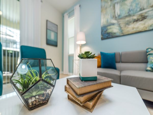 Orlando Home 976405