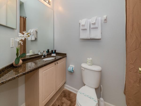 Orlando Home 976414