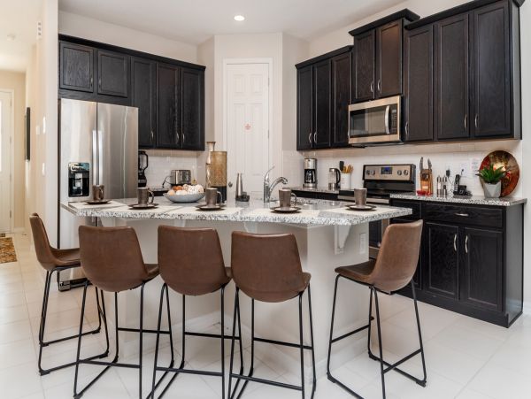 Orlando Home 976425