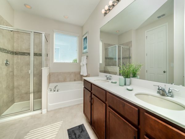 Orlando Home 976426