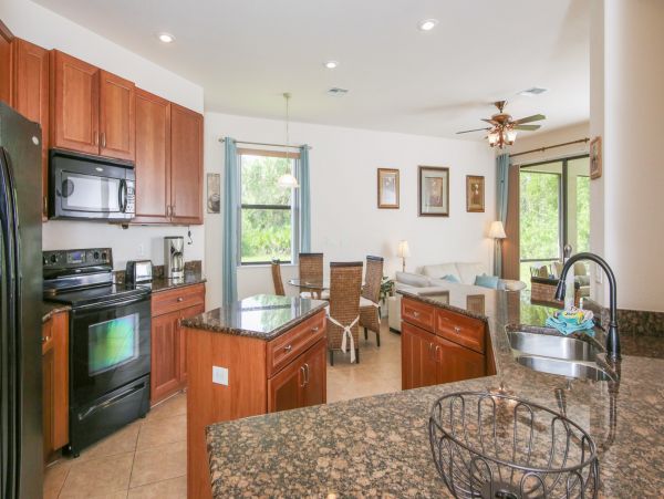 Orlando Home 976445
