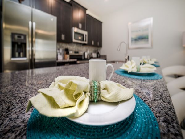 Orlando Vacation Rental Close to Parks Luxury Interior