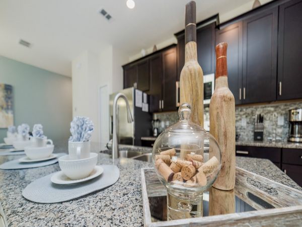 Orlando Home 976453