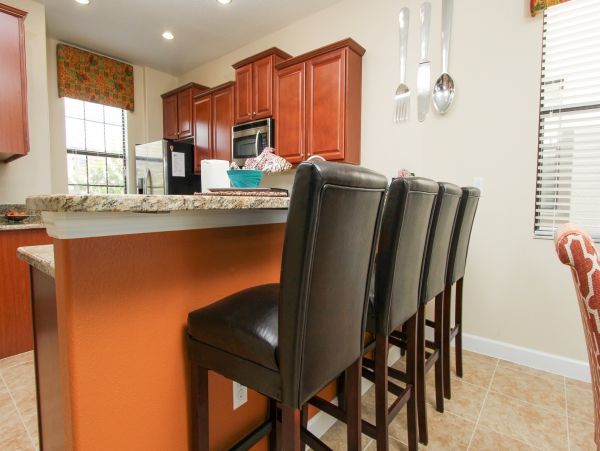 Orlando Home 976460