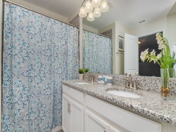 Orlando Home 976467