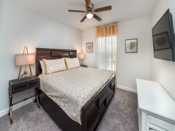Orlando Home 976492