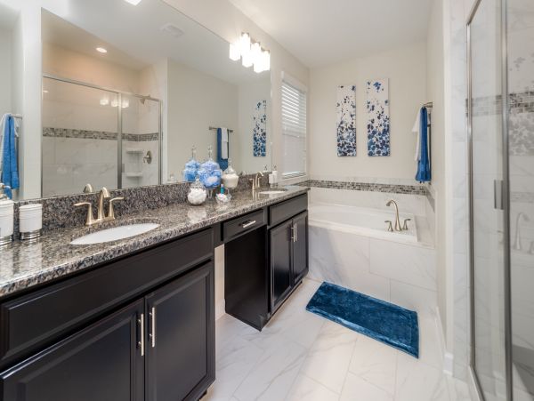 Orlando Home 976498