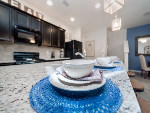 Orlando Home 976499