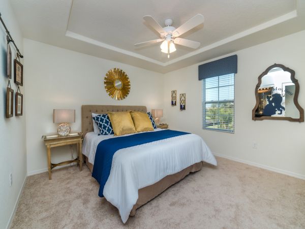 Orlando Home 976499