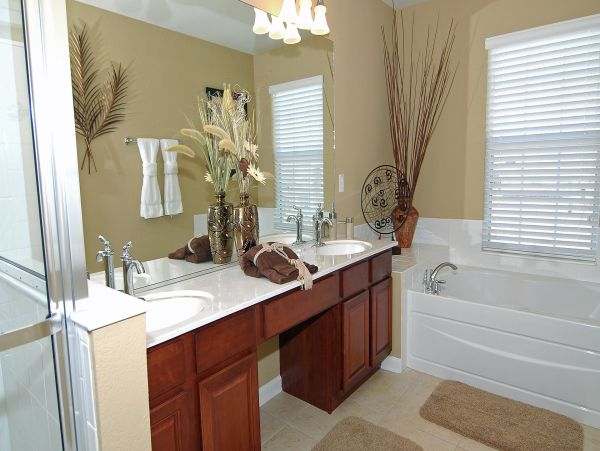 Orlando Home 976515