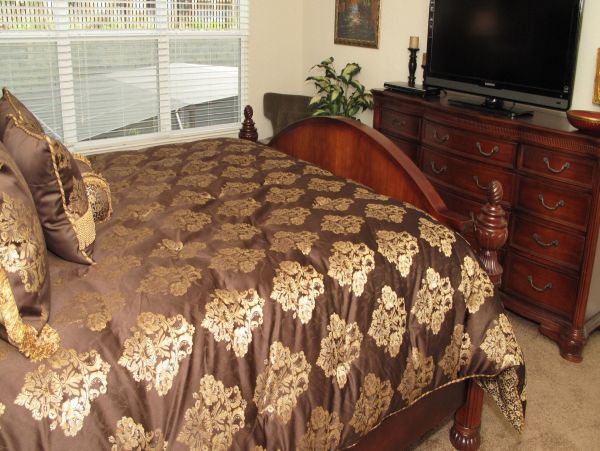 Orlando Home 976516