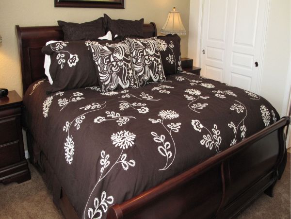 Orlando Home 976516