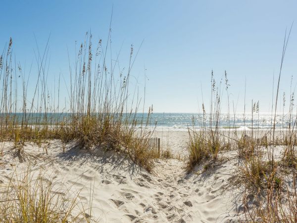 Gulf Shores Ten Bedroom Gulf Front Vacation Home