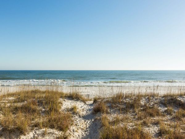 Gulf Shores Ten Bedroom Gulf Front Vacation Home