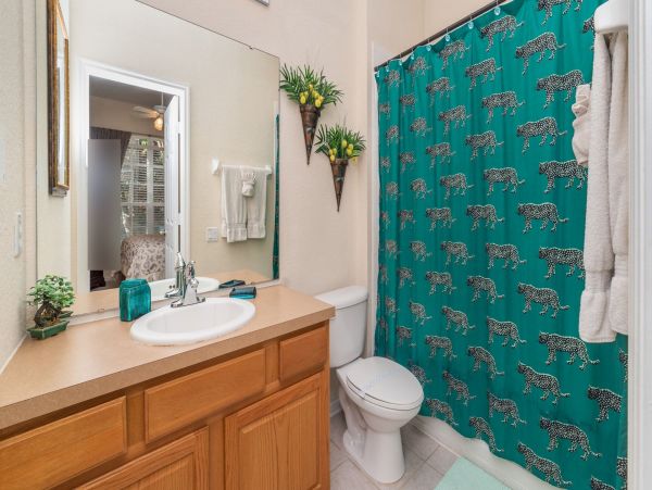 Orlando Home 976551