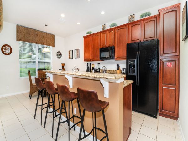 Orlando Home 976559