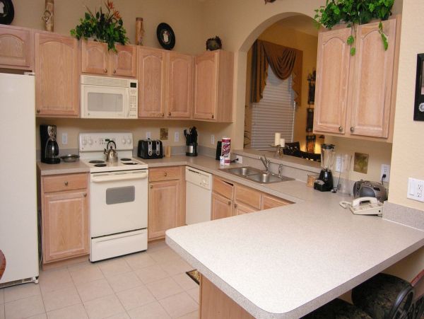 Orlando Home 976605