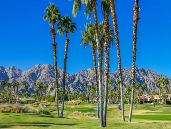 La Quinta Home 976659