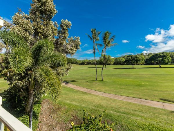 Wailea Condo 976682