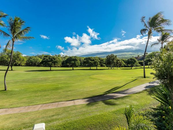 Wailea Condo 976682