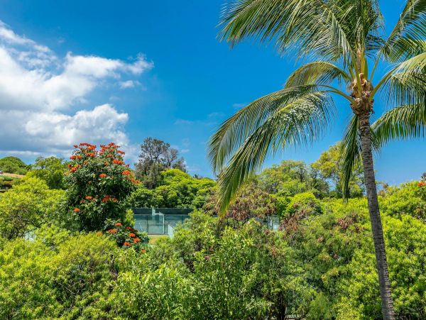 Wailea Condo 976684