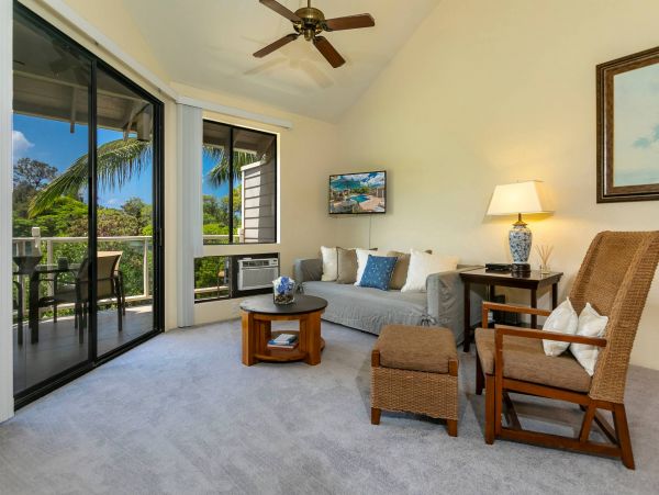 Wailea Condo 976684