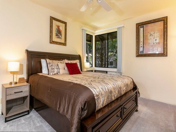 Wailea Condo 976684