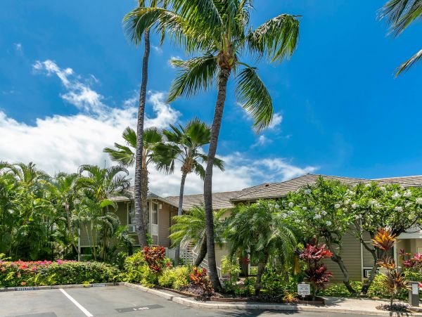 Wailea Condo 976684