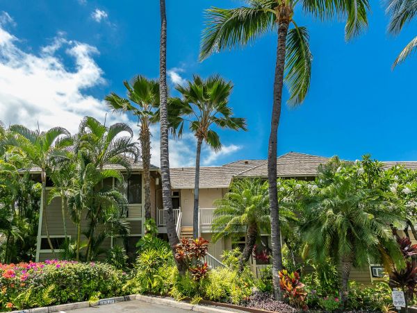 Wailea Condo 976684