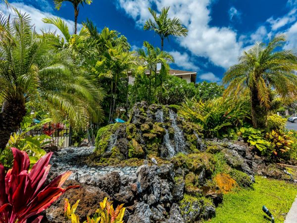 Wailea Condo 976684