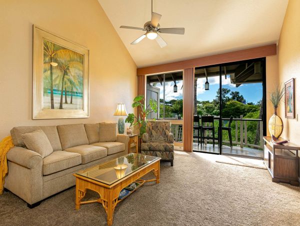 Wailea Condo 976686
