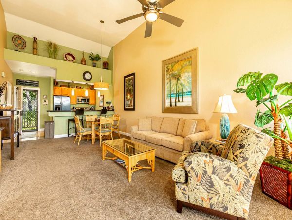 Wailea Condo 976686